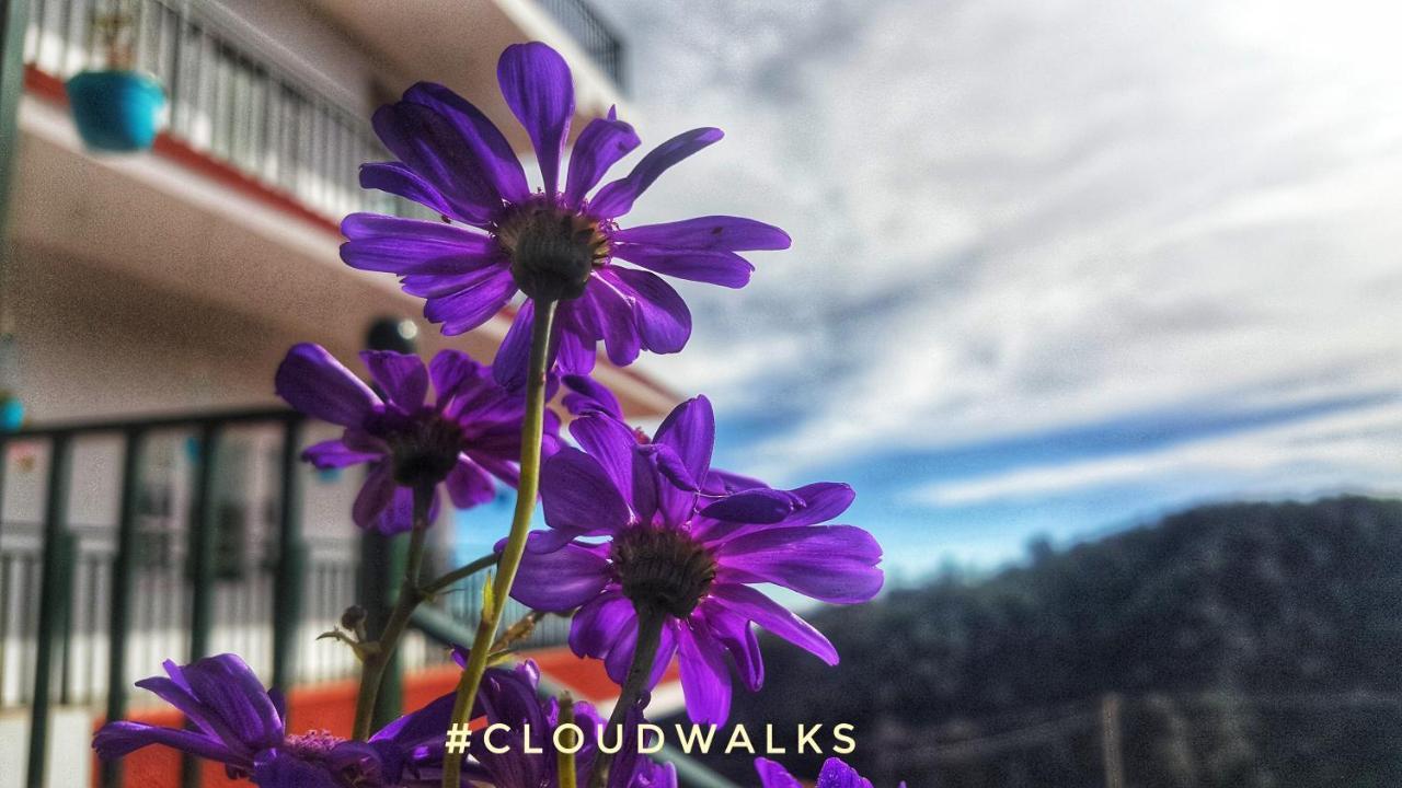 Cloudwalks Tamilnadu - Kodaikanal Extérieur photo